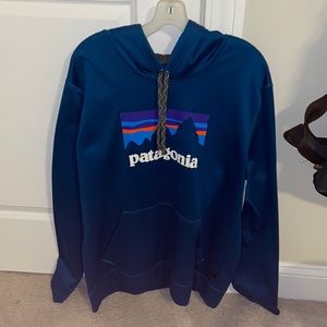 Men’s Patagonia Hoodie